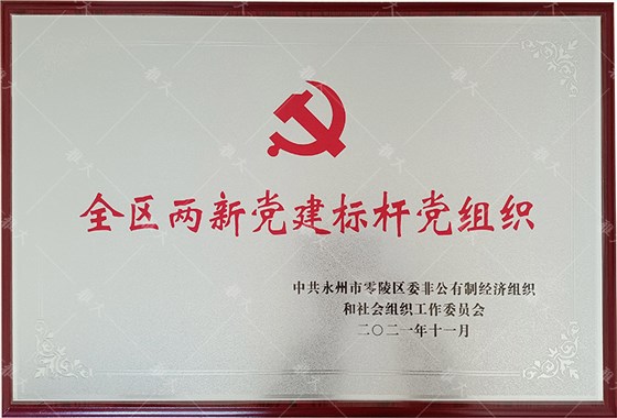 全区两新党建标杆党组织-3