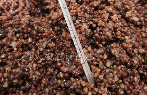 夏季用白酒蒸馏设备酿酒为什么容易酒苦？ 3