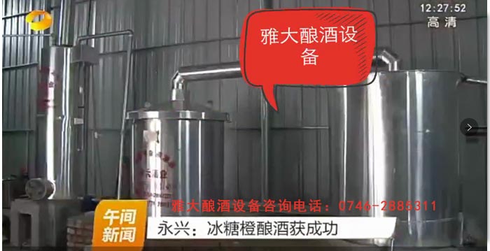 永兴冰糖橙滞销 曹总引雅大烤酒设备靠“酿”带动销量