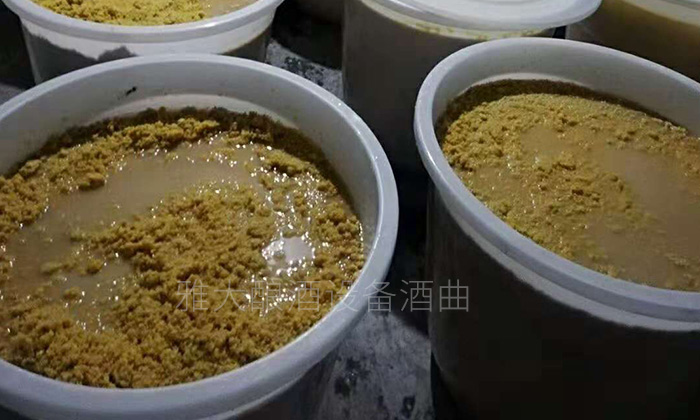 玉米酿酒设备做的生料玉米酒口感真的有那么差么？-01-玉米生料酿酒